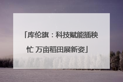 库伦旗：科技赋能插秧忙 万亩稻田展新姿