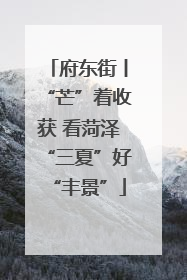 府东街丨“芒”着收获 看菏泽“三夏”好“丰景”