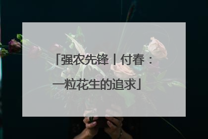 强农先锋丨付春：一粒花生的追求