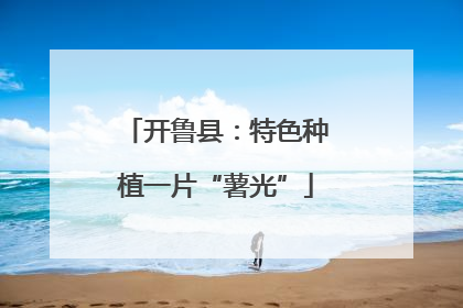 开鲁县：特色种植一片“薯光”