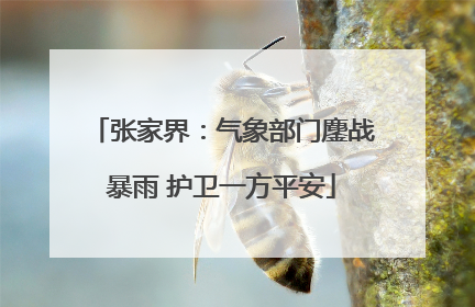 张家界：气象部门鏖战暴雨 护卫一方平安