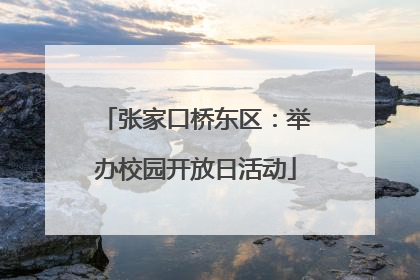 张家口桥东区：举办校园开放日活动
