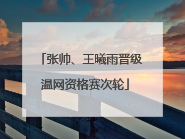 张帅、王曦雨晋级温网资格赛次轮