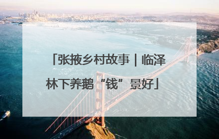 张掖乡村故事｜临泽林下养鹅“钱”景好