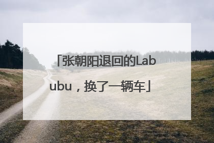 张朝阳退回的Labubu，换了一辆车