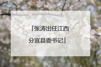张涛出任江西分宜县委书记