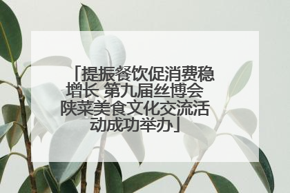 提振餐饮促消费稳增长 第九届丝博会陕菜美食文化交流活动成功举办