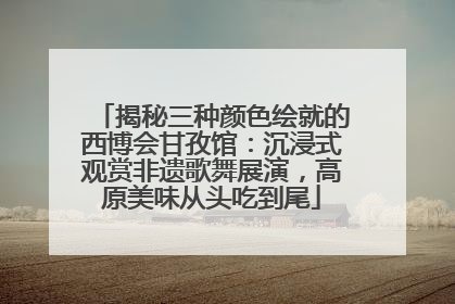 揭秘三种颜色绘就的西博会甘孜馆：沉浸式观赏非遗歌舞展演，高原美味从头吃到尾