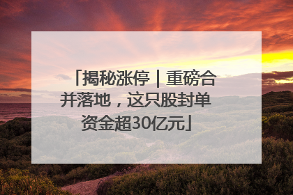 揭秘涨停｜重磅合并落地，这只股封单资金超30亿元