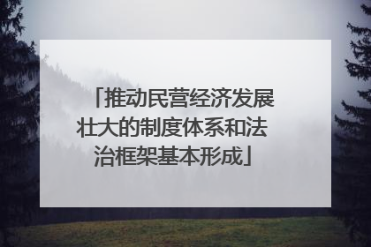 推动民营经济发展壮大的制度体系和法治框架基本形成