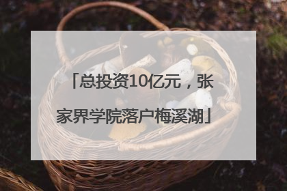 总投资10亿元，张家界学院落户梅溪湖
