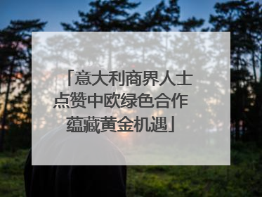 意大利商界人士点赞中欧绿色合作蕴藏黄金机遇