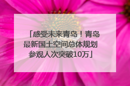 感受未来青岛！青岛最新国土空间总体规划参观人次突破10万