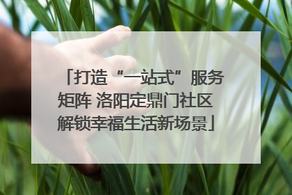 打造“一站式”服务矩阵 洛阳定鼎门社区解锁幸福生活新场景