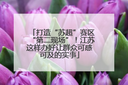 打造“苏超”赛区“第二现场”！江苏这样办好让群众可感可及的实事
