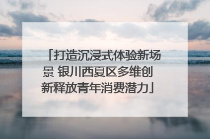 打造沉浸式体验新场景 银川西夏区多维创新释放青年消费潜力