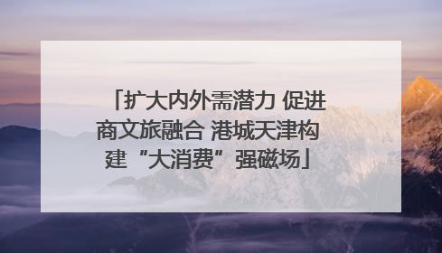 扩大内外需潜力 促进商文旅融合 港城天津构建“大消费”强磁场