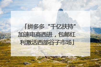 拼多多“千亿扶持”加速电商西进，包邮红利激活西部谷子市场