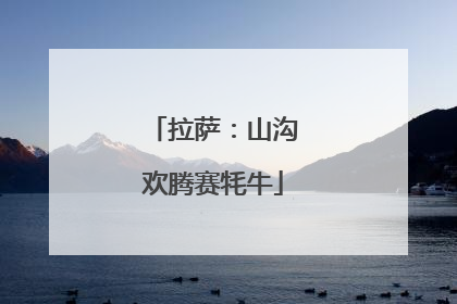拉萨：山沟欢腾赛牦牛