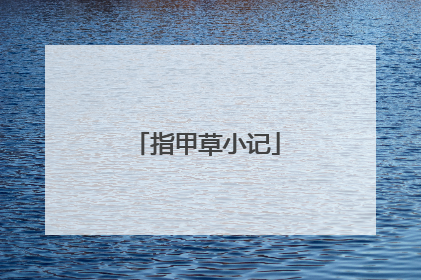 指甲草小记