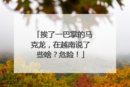 挨了一巴掌的马克龙，在越南说了些啥？危险！