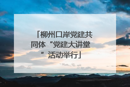柳州口岸党建共同体“党建大讲堂”活动举行
