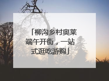柳沟乡村奥莱端午开街，一站式逛吃游购