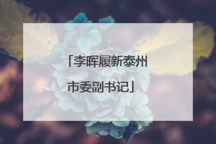 李晖履新泰州市委副书记