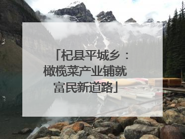 杞县平城乡：橄榄菜产业铺就富民新道路