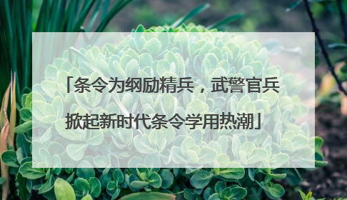 条令为纲励精兵，武警官兵掀起新时代条令学用热潮