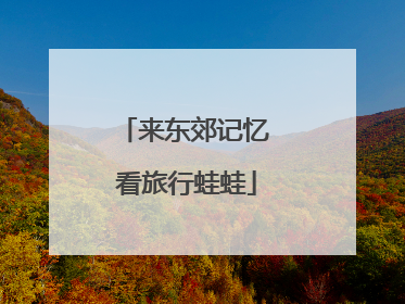来东郊记忆 看旅行蛙蛙