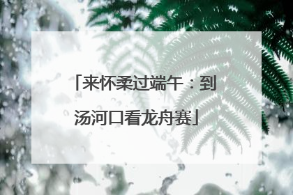 来怀柔过端午：到汤河口看龙舟赛