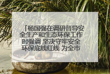杨国强在调研督导安全生产和生态环保工作时强调 坚决守牢安全环保底线红线 为全市经济社会高质量发展提供坚强保障