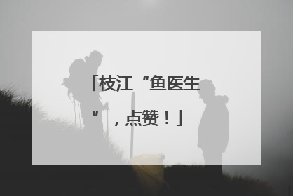 枝江“鱼医生”，点赞！