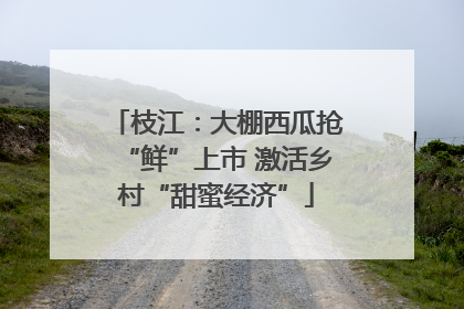 枝江：大棚西瓜抢“鲜”上市 激活乡村“甜蜜经济”