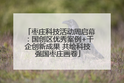 枣庄科技活动周启幕：国创区优秀案例+千企创新成果 共绘科技强国枣庄画卷