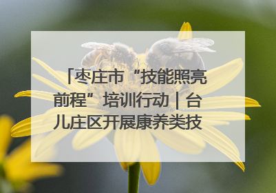 枣庄市“技能照亮前程”培训行动｜台儿庄区开展康养类技能进校园活动
