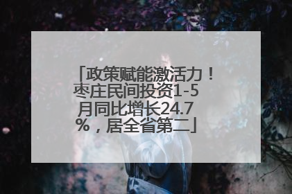 政策赋能激活力！枣庄民间投资1-5月同比增长24.7%，居全省第二