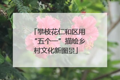 攀枝花仁和区用“五个一”描绘乡村文化新图景