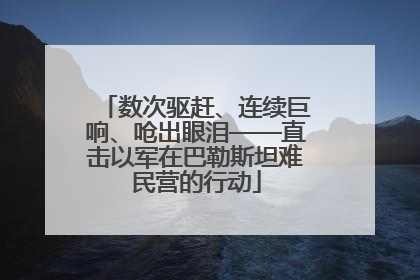 数次驱赶、连续巨响、呛出眼泪——直击以军在巴勒斯坦难民营的行动