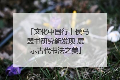 文化中国行丨侯马盟书研究新发现 展示古代书法之美