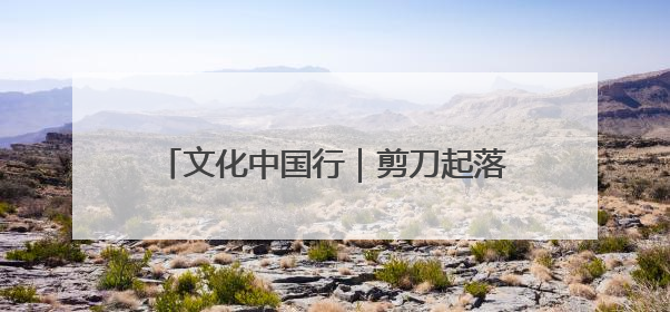 文化中国行|剪刀起落间的文化密码——东营剪纸“剪”出非遗传承与现代生活的融合之道