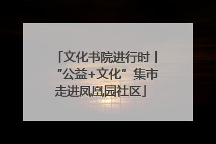 文化书院进行时丨“公益+文化”集市走进凤凰园社区