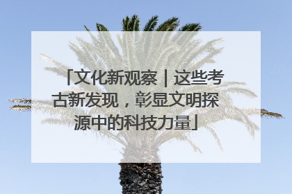 文化新观察｜这些考古新发现，彰显文明探源中的科技力量