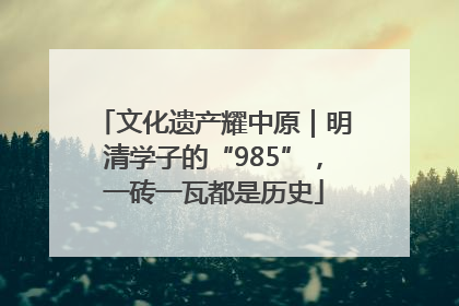 文化遗产耀中原｜明清学子的“985”，一砖一瓦都是历史