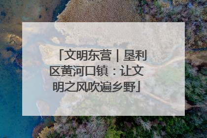 文明东营｜垦利区黄河口镇：让文明之风吹遍乡野