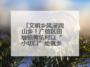 文明乡风浸润山乡！广信区田墩镇黄坑村以“小切口”绘就乡村振兴大图景