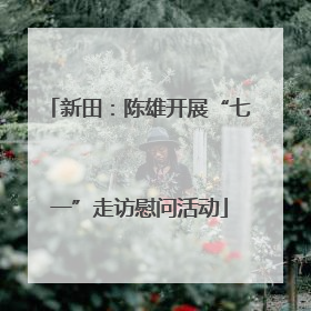 新田：陈雄开展“七一”走访慰问活动