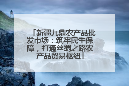新疆九鼎农产品批发市场：筑牢民生保障，打通丝绸之路农产品贸易枢纽