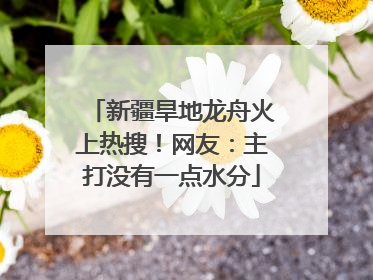 新疆旱地龙舟火上热搜！网友：主打没有一点水分